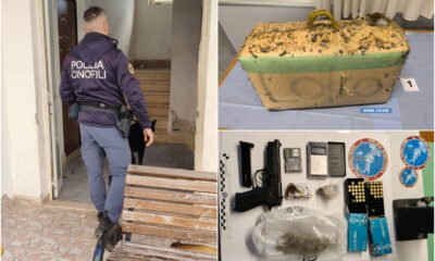 hashish gizzeria controlli