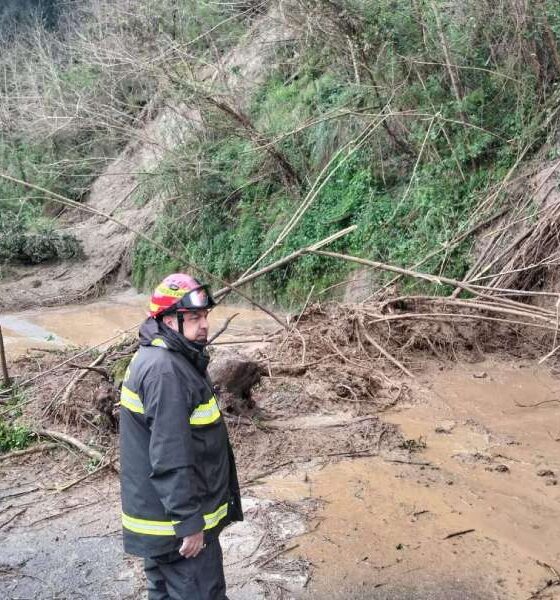 Piogge intense in arrivo, la Calabria corre ai ripari: pulizia dei fiumi contro il rischio allagamenti 56 pioggia e fango vibonese 03