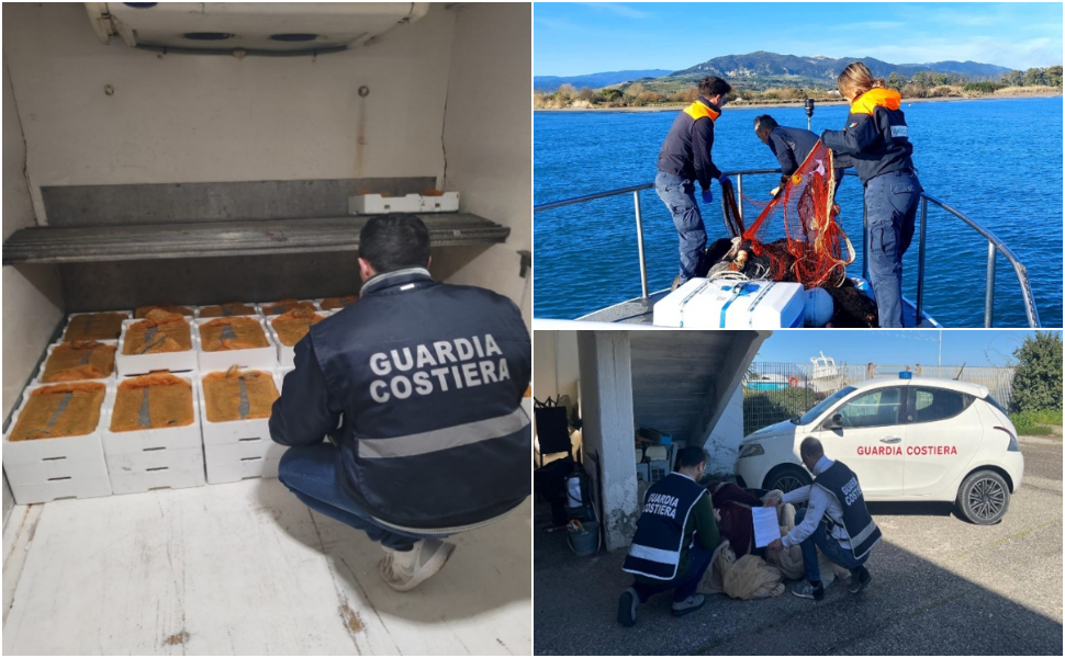 sequestro bianchetto Roseto Capo Spulico 01