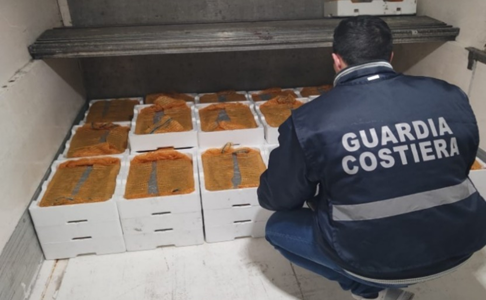 sequestro bianchetto Roseto Capo Spulico