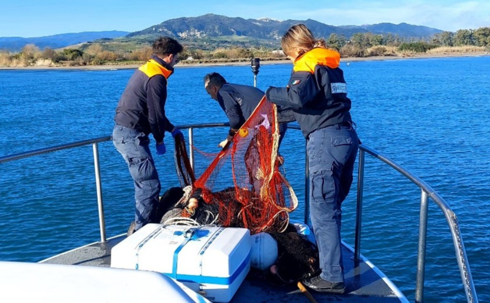 sequestro bianchetto Roseto Capo Spulico 04
