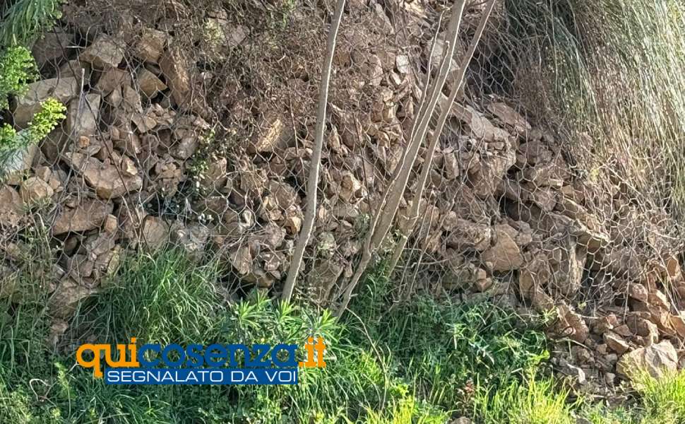 via romualdo montagna