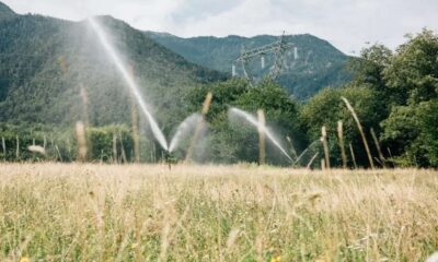 Acqua Cia campi Sila
