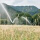Emergenza acqua: Cia Calabria lancia l’allarme «senza un piano, i bacini della Sila rischiano il collasso» 64 Acqua Cia campi Sila
