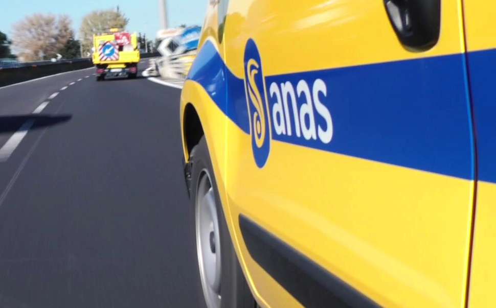 Anas 02