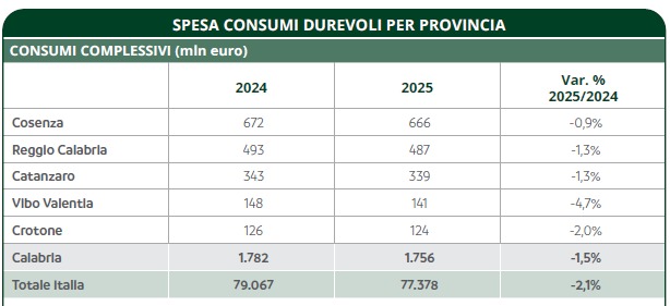 consumi beni durevoli calabria 02