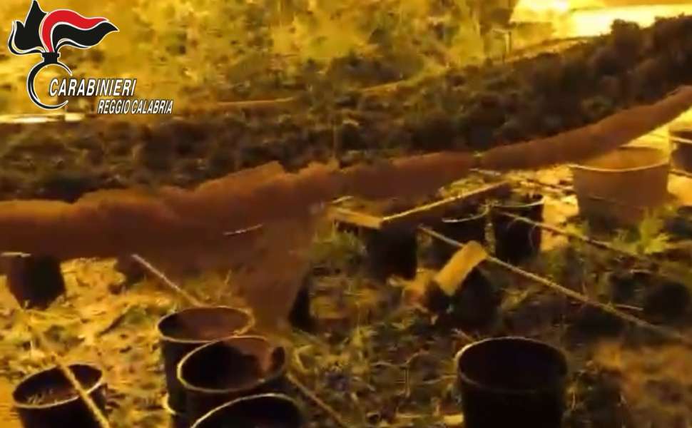 Bunker piantagione Platì 03