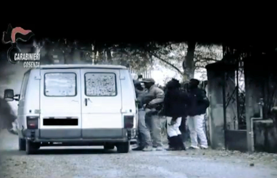 Caporalato in Sila nei centri d'accoglienza, cadono le accuse. Raffica di assoluzioni per imprenditori e gestori 53 Caporalato in sila