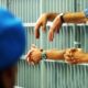 Detenuto aggredisce agenti - sovraffollamento carcere