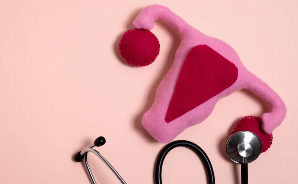 Endometriosi, una malattia ancora sottovalutata: "fino a 10 anni per la diagnosi". Ritardi e difficoltà in Calabria 53 Endometriosi 01