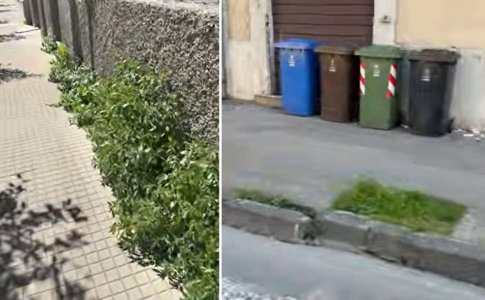 Giacomo Mancini strade e marciapiedi cosenza 03