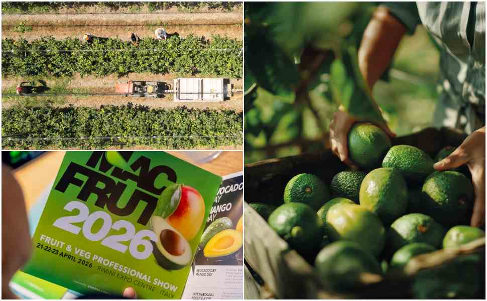 MacFrut 2026 Rimini
