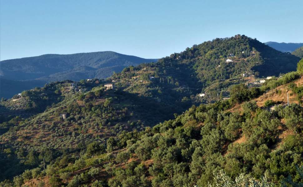 Montanità "di carta": Mazza denuncia il paradosso cosentino, tra algoritmi e territori reali 53 Montanità Corigliano Rossano