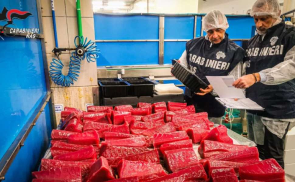 NAS Catanzaro sequestro prodotti ittici