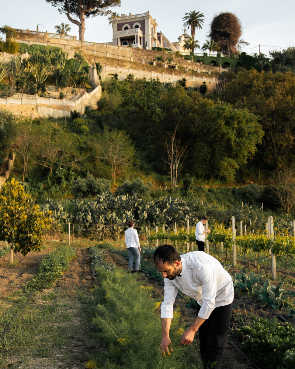 Ristorante De' Minimi: lo Chef Pucci celebra la stagionalità della Calabria con i nuovi menù degustazione 2026 52 Chef ristorante de minimi