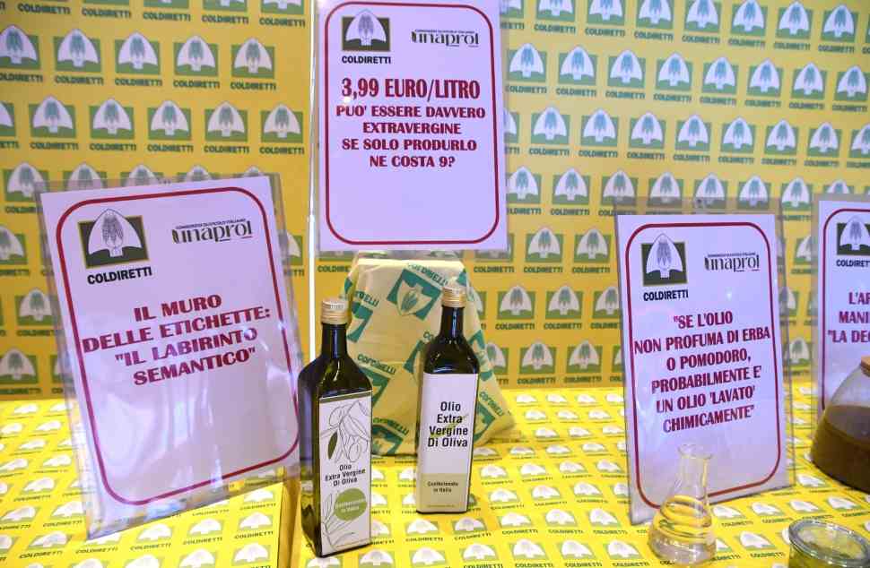 Olivicoltura, è crisi profonda: prezzi bassi e miscele incerte. Coldiretti: «No all'umiliazione della Calabria» 54 Olio Coldiretti