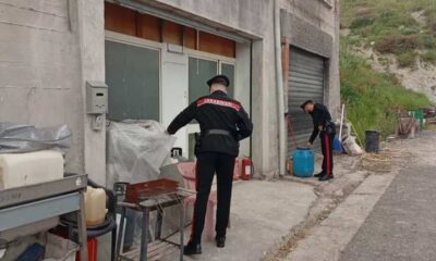 alimenti