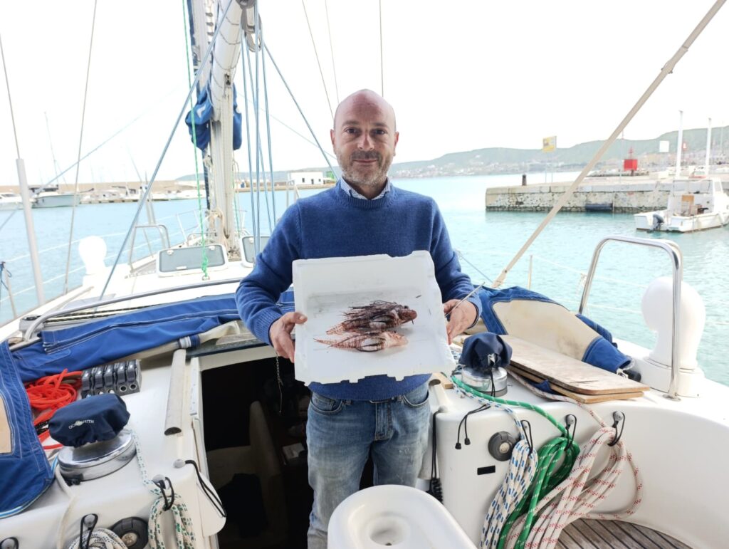 Pesce-Leone