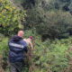 maxi operazione antidroga reventino