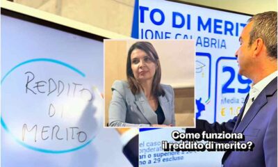 reddito di merito_Madeo
