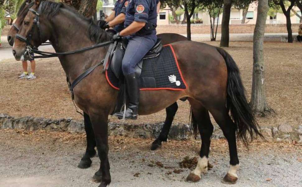 Cosenza celebra la Terra: piazza Kennedy diventa un “villaggio della biodiversità” 53 carabinieri-forestali-a-cavallo giornata terra