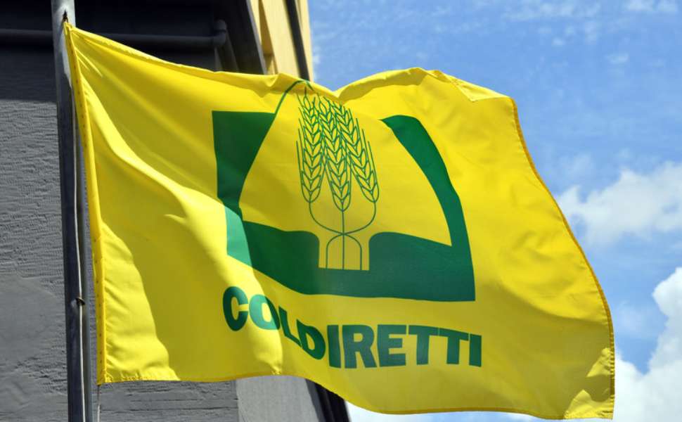 coldiretti agropirateria 01