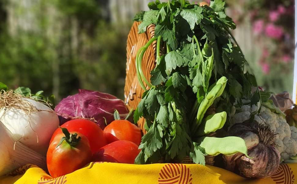 Agropirateria: approvata la “Legge Caselli”, stretta storica che sarà positiva per la Calabria 52 coldiretti agropirateria 03