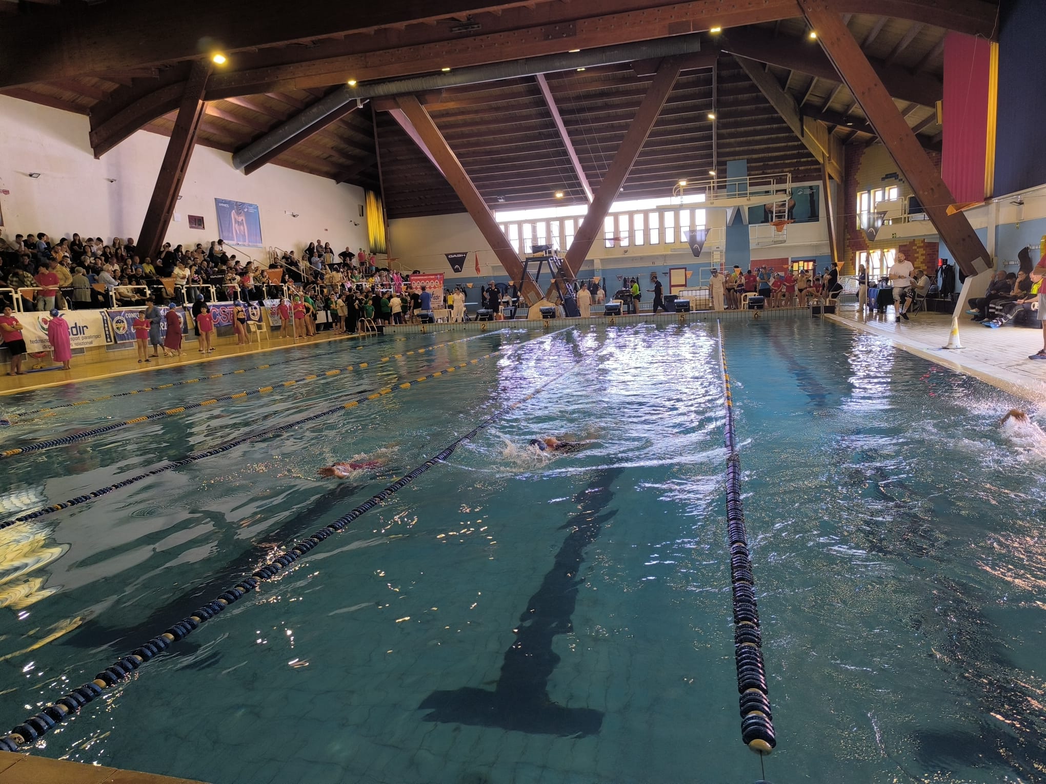 Cosenza, nuoto e inclusione: 180 atleti al Campionato FISDIR e CSEN 51 Cosenza, nuoto e inclusione: 180 atleti al Campionato FISDIR e CSEN