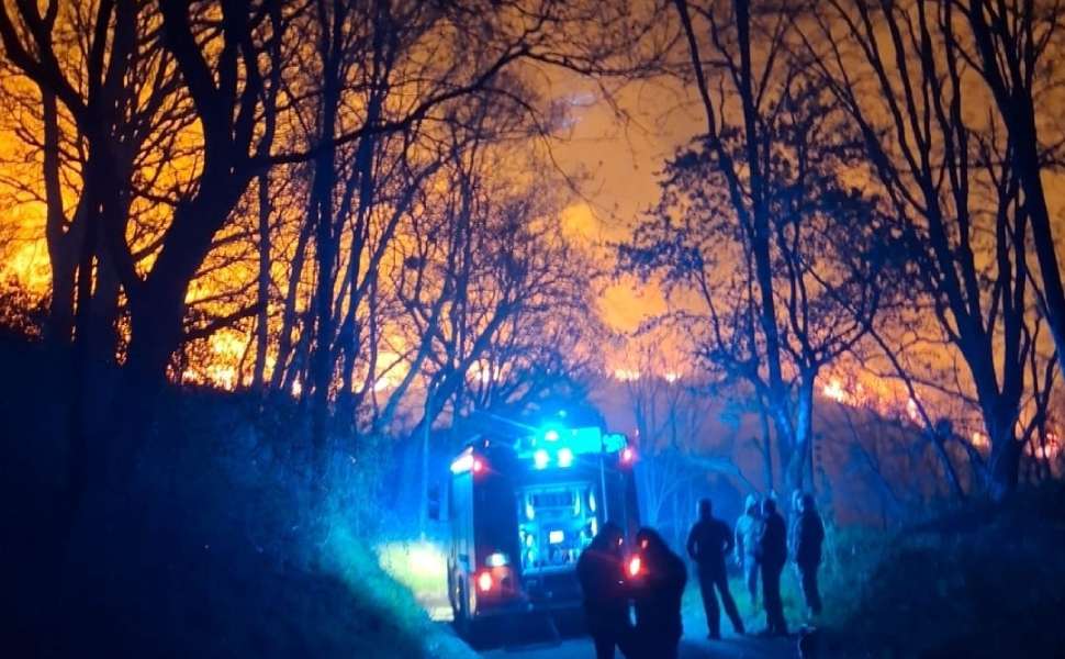 Notte di fuoco tra Conflenti e Martirano: maxi incendio devasta boschi e macchia mediterranea 53 incendio tra conflenti e martirano 03