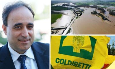 maltempo danni coldiretti franco aceto