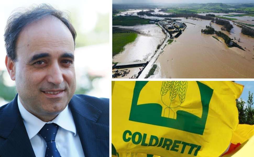 maltempo danni coldiretti franco aceto