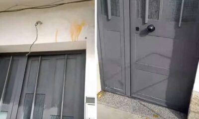 uova trebisacce giovani immigrati 01