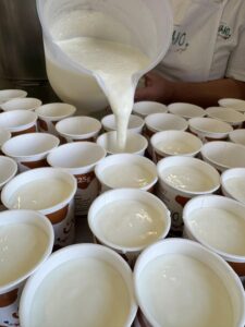 Scrivano Latte e Yogurt
