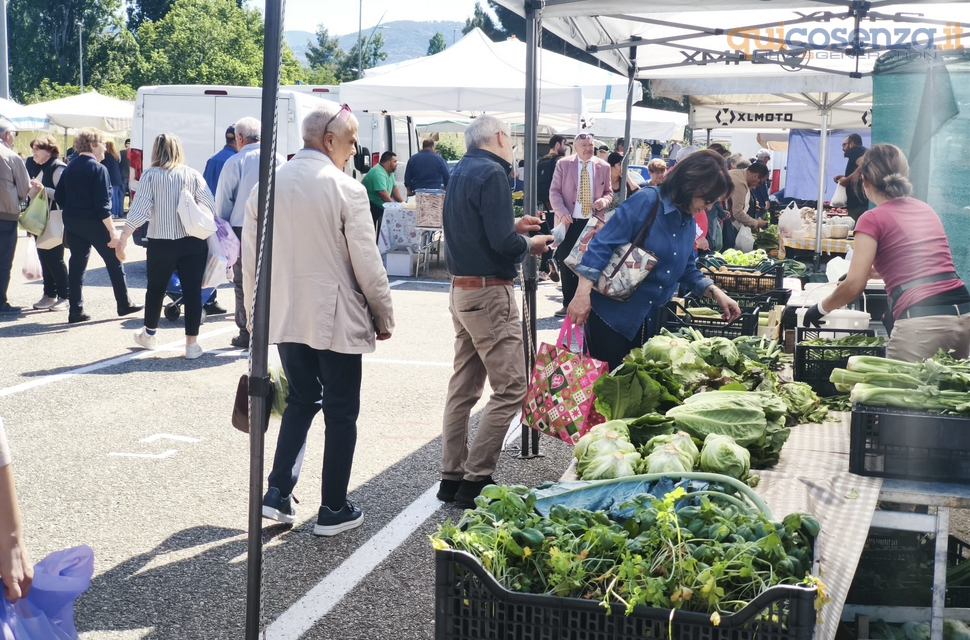 Mercato Rende via Prigi