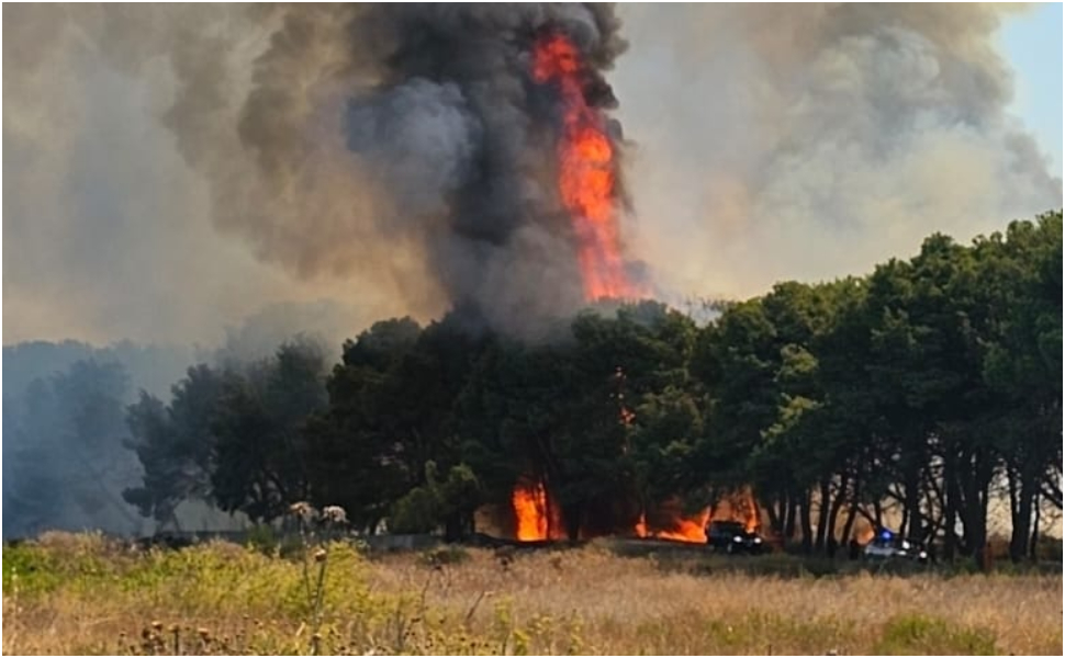AIB 2026 piano antincendi calabria 01 incendio