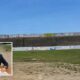 Acri_stadio