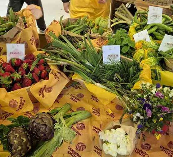 Agroalimentare_Calabria