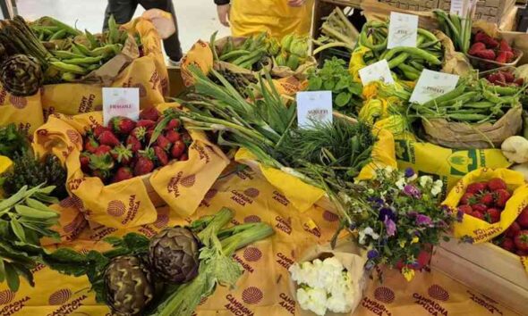 Agroalimentare_Calabria