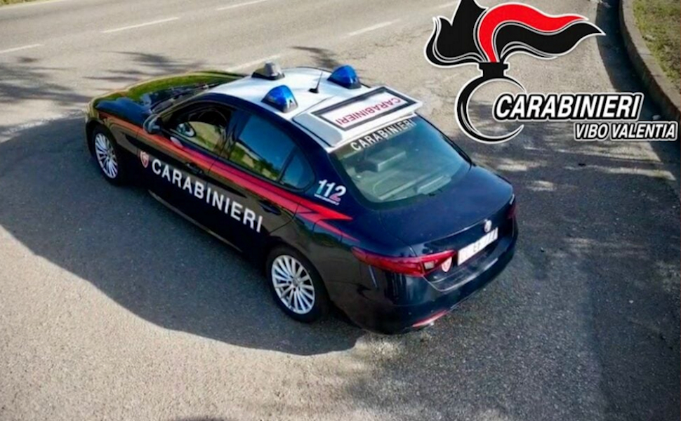 Carabinieri vibo Valentia Contrasto ai reati ambientali