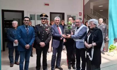 Castrovillari_Albero di Falcone