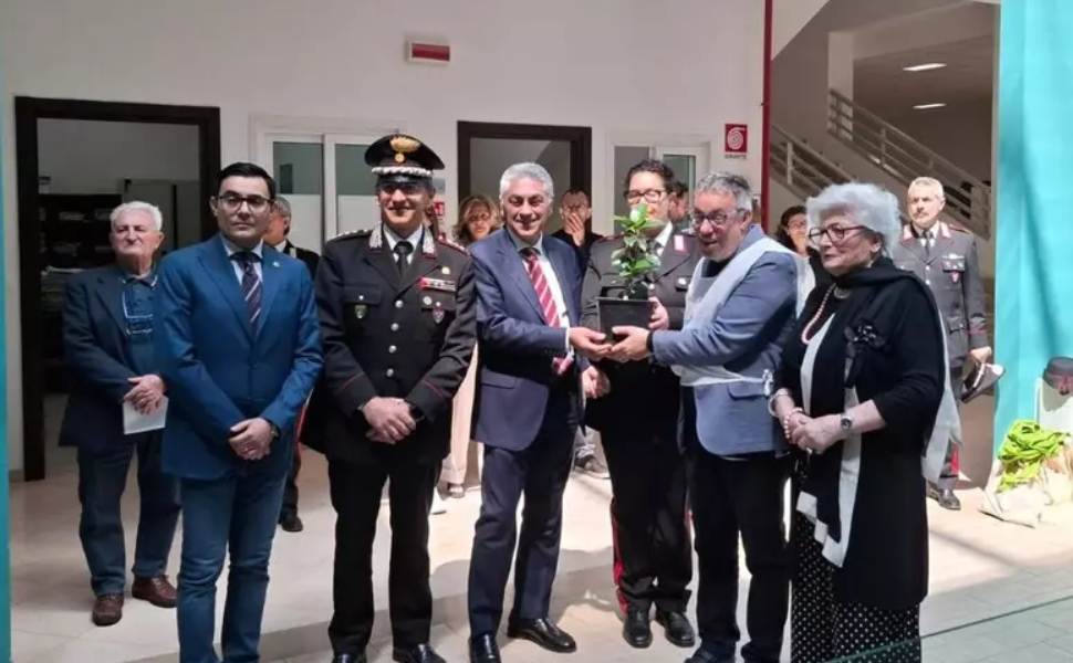 Castrovillari_Albero di Falcone