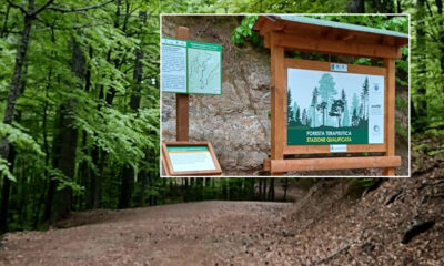 Celico Parco Nazionale della Sila sentiero terapeutico “Foresta Incantata”