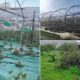 Cicloni danni agricoltura maltempo