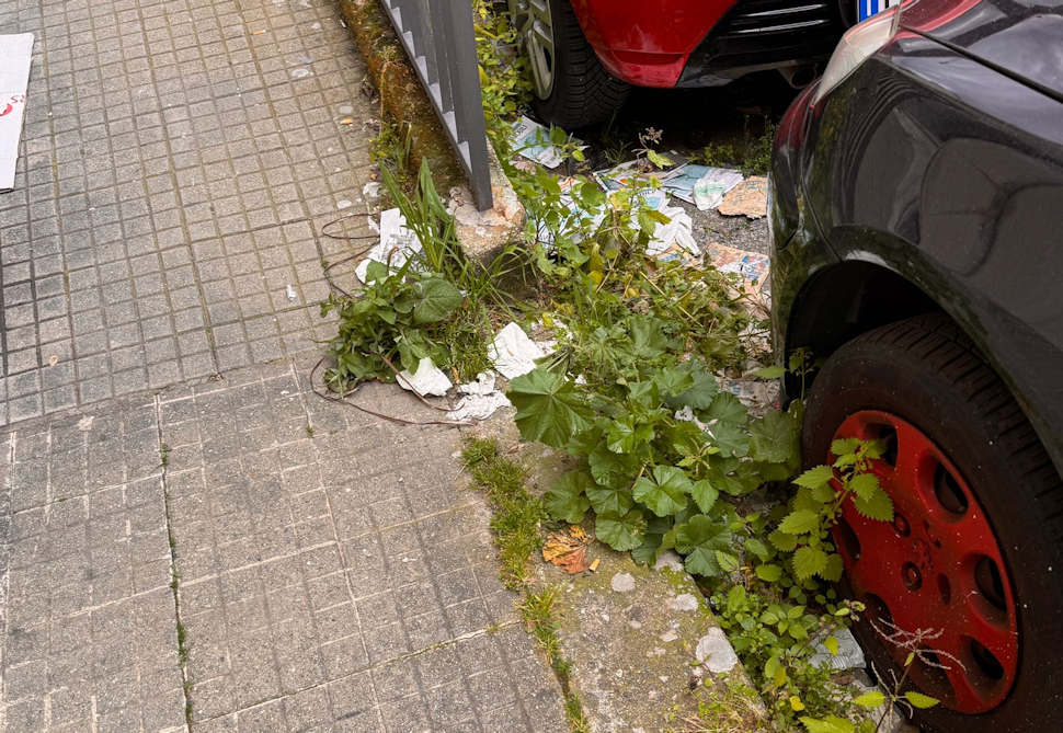 Cosenza: manutenzione, pulizia e decoro urbano. L’appello dell’assessore Orrico:"serve la collaborazione di tutti" 53 Cosenza Decoro urbano erbacce marciapiedi