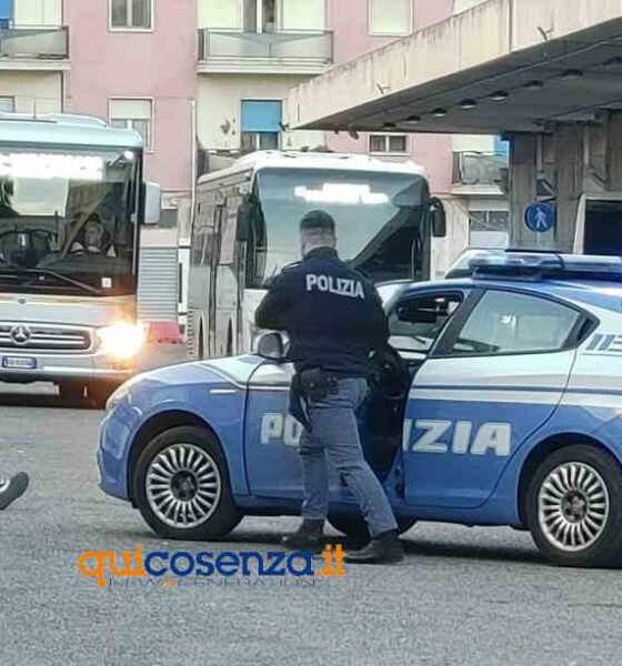 Rissa autostazione di Cosenza