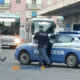 Rissa autostazione di Cosenza