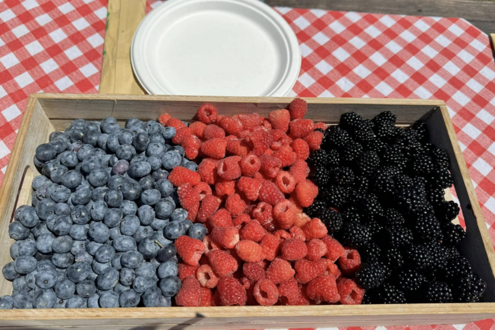 Frutti di bosco