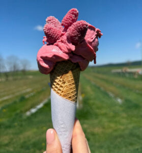 Gelato1