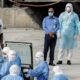 Hantavirus, tra i passeggeri del volo Klm anche un calabrese: attivato in Calabria il protocollo di sorveglianza 57 Hantavirus