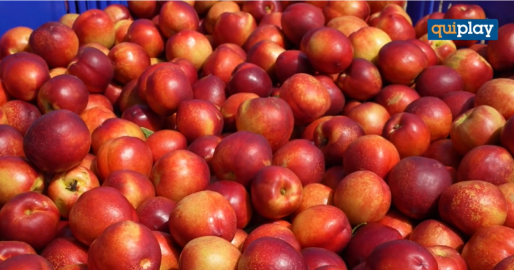 nettarine
